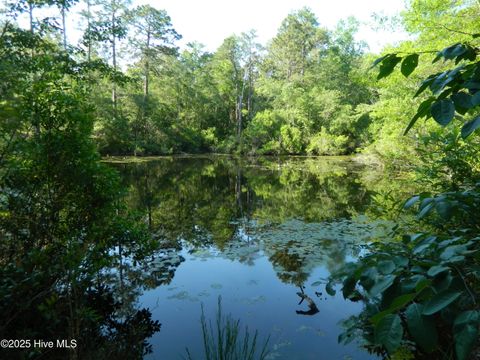 Vacant Land For Sale - 178 Laurel Oak Lane<br/> Pinebluff, NC 28373