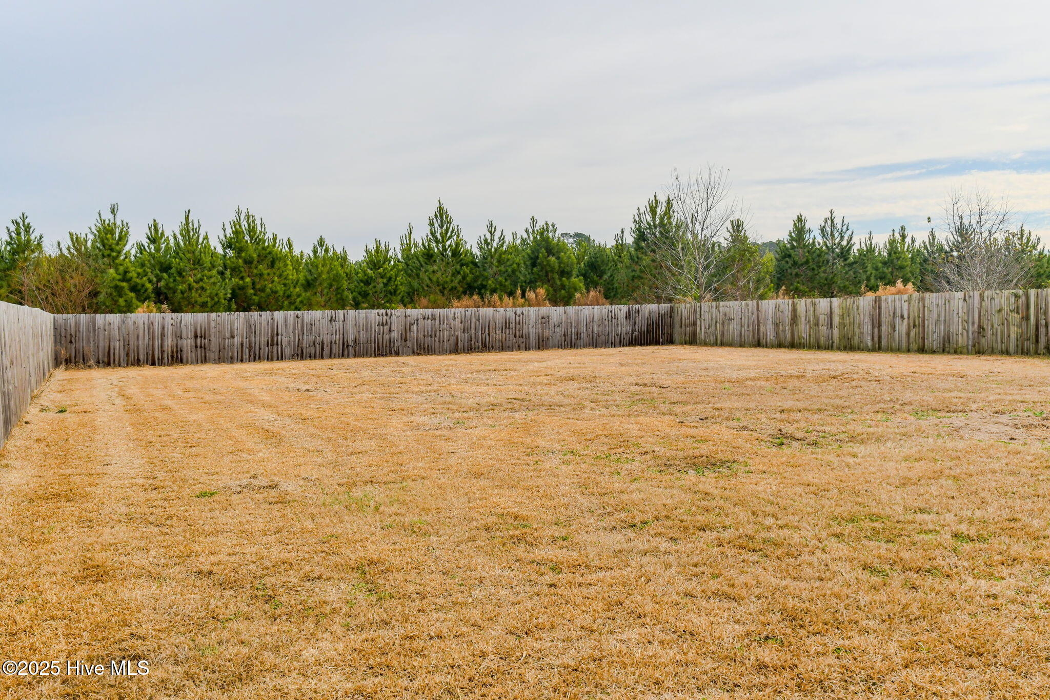 Beulaville, North Carolina 28518, United States, 3 Bedrooms Bedrooms, ,2 BathroomsBathrooms,Residential,Active,256122
