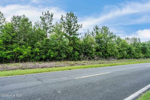 Tiny photo for 28 Maple Hill School Road, Maple Hill, NC 28454 (MLS # 100587911)