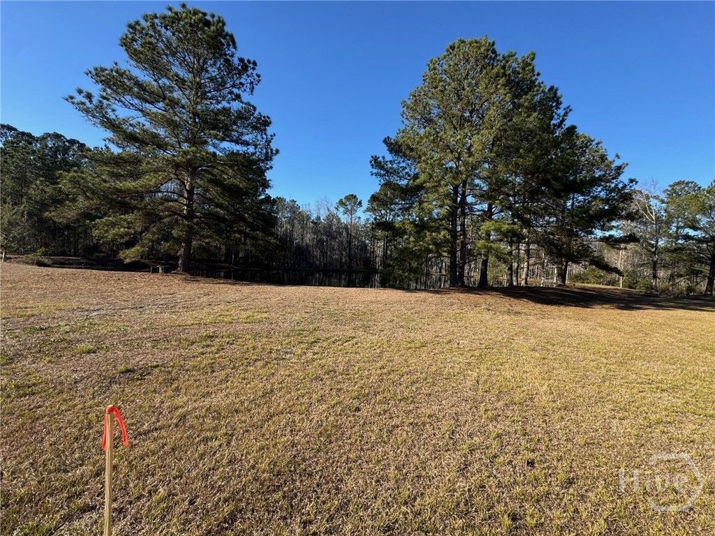 Photo of 5033 McCall Road, Rincon, GA 31326 (MLS # SA348568)