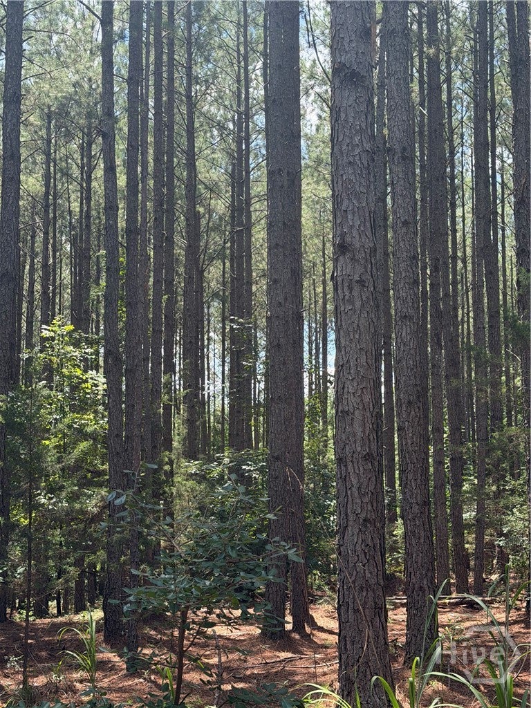 Photo of 0 Osley Mill Road, Carlton, GA 30627 (MLS # CL361948)