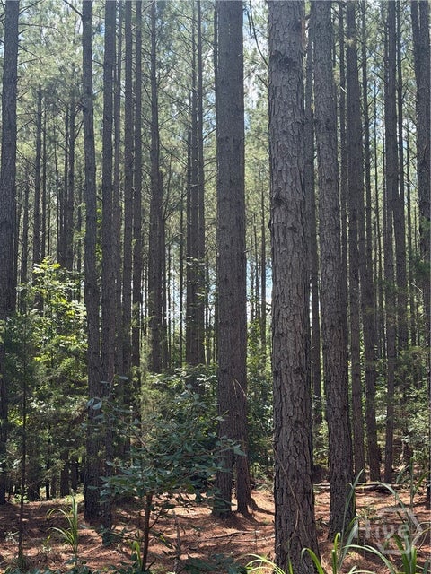 Vacant Land For Sale - Osley Mill Road<br/> Carlton, GA 30627