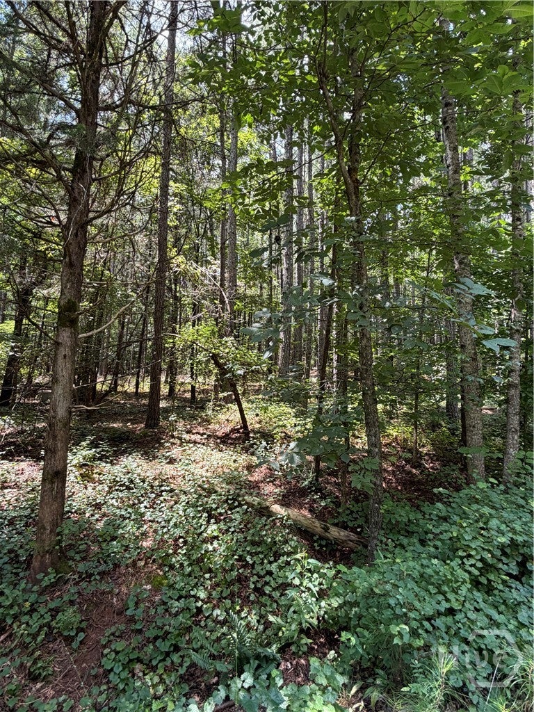 Photo of 0 Osley Mill Road, Carlton, GA 30627 (MLS # CL361948)
