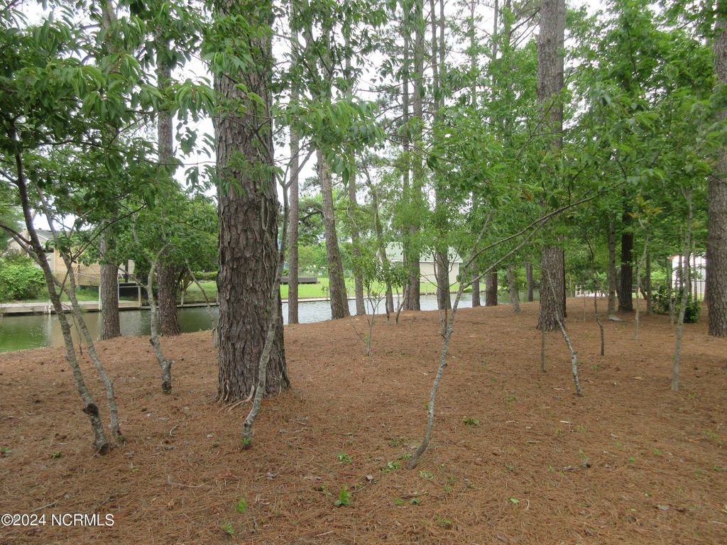 Photo of 105 N Mallard Court N, Grandy, NC 27939 (MLS # 100546941)