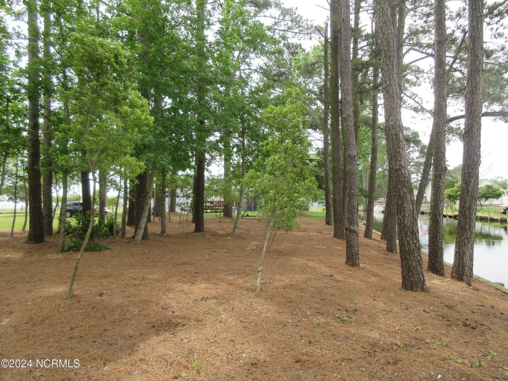 Photo of 105 N Mallard Court N, Grandy, NC 27939 (MLS # 100546941)