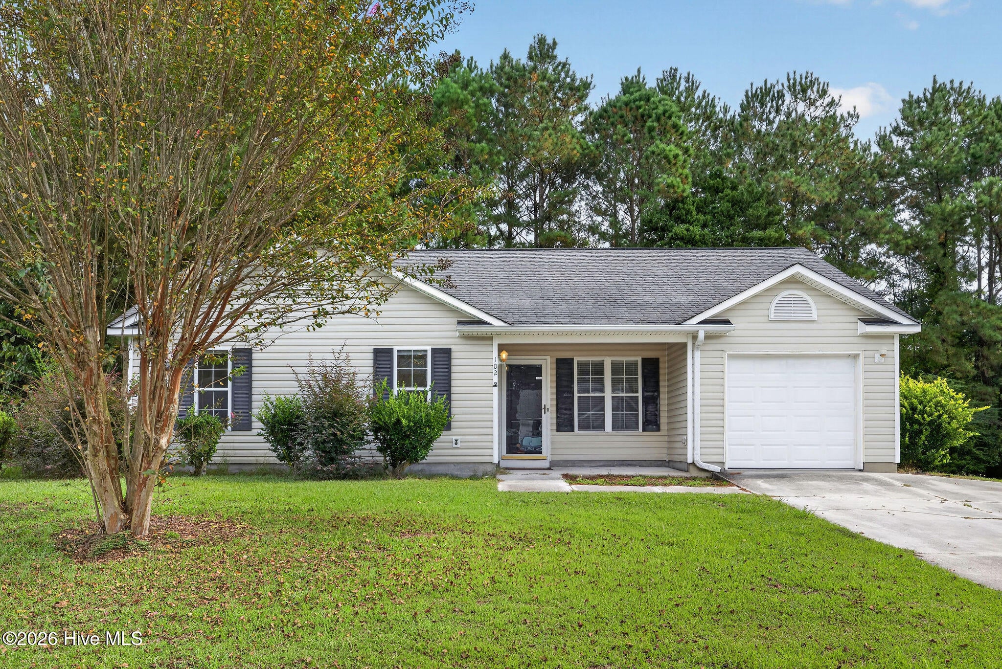 102 Tealbriar Street
