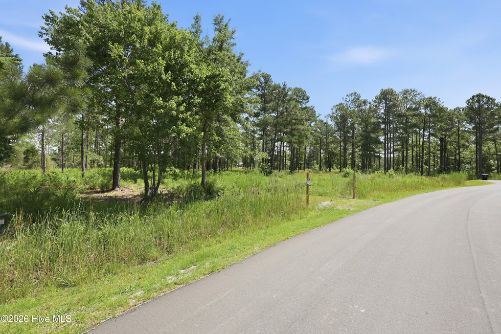 Photo of 247 Shell Castle Lane, Vandemere, NC 28587 (MLS # 100588936)