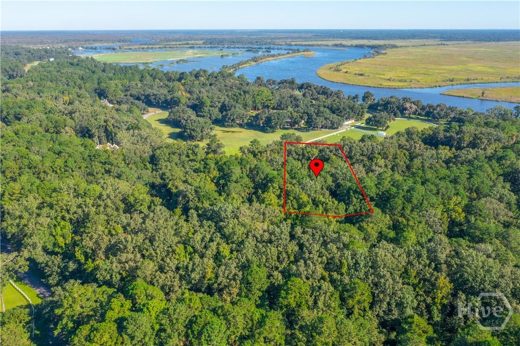 Photo of 89 Jimmy Blige Lane, Richmond Hill, GA 31324 (MLS # SA350775)