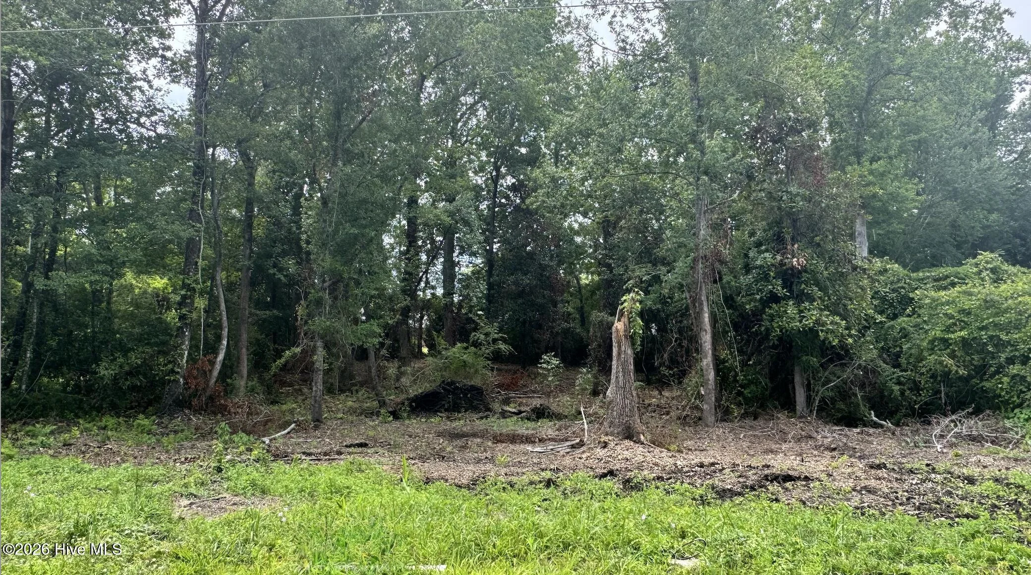 610 Dogwood Lane
