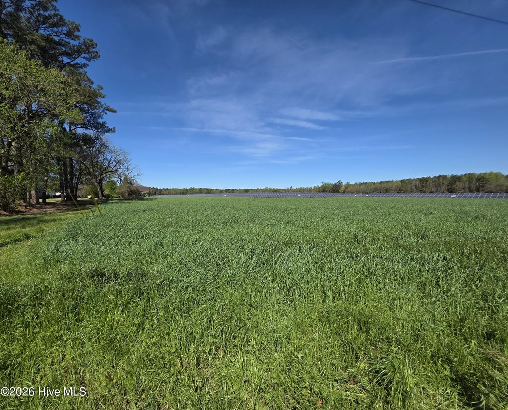 Photo of 00 N N Nc 111 And 903 Hwy, Albertson, NC 28508 (MLS # 100563453)