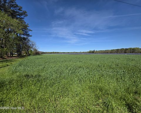 Vacant Land For Sale - 00 N N Nc 111 And 903 Hwy<br/> Duplin County, Albertson, NC 28508
