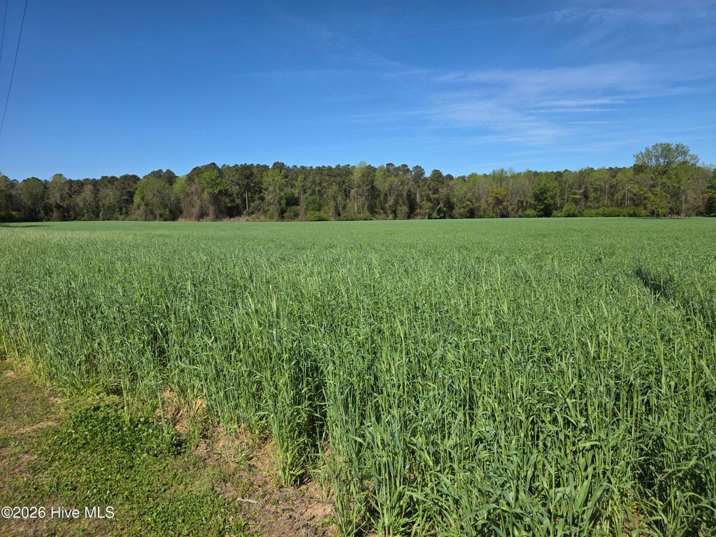 Photo of 00 N N Nc 111 And 903 Hwy, Albertson, NC 28508 (MLS # 100563453)