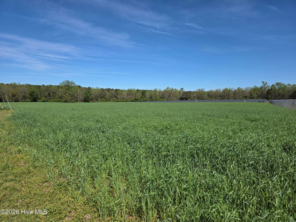 Photo of 00 N N Nc 111 And 903 Hwy, Albertson, NC 28508 (MLS # 100563453)