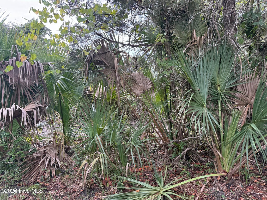 Photo of 12 Captain Charlies Court, Bald Head Island, NC 28461 (MLS # 100600112)
