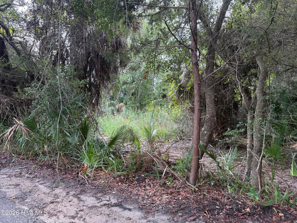 Photo of 12 Captain Charlies Court, Bald Head Island, NC 28461 (MLS # 100600112)