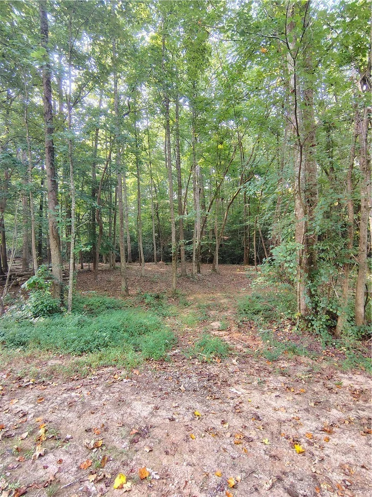 261 Brad St, Royston, GA, 30662