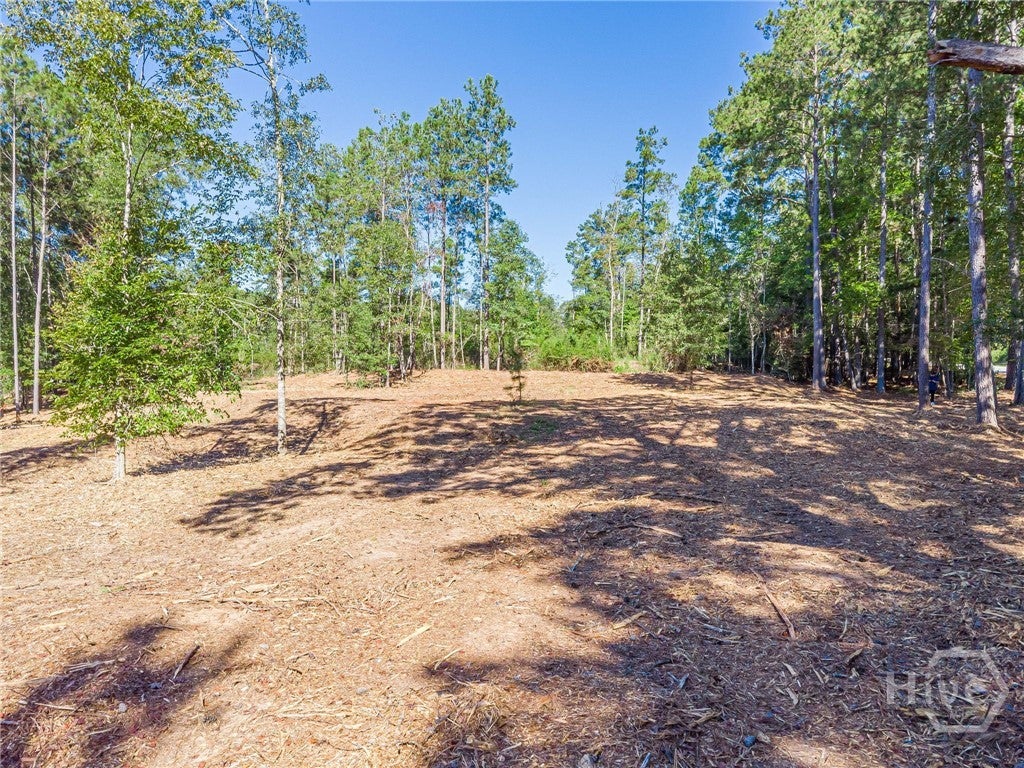 Photo of 3310 Etchison Road, Loganville, GA 30052 (MLS # CL366720)