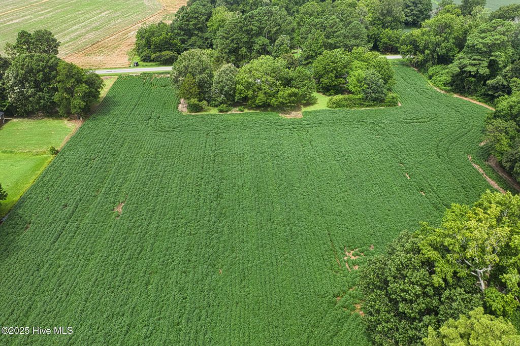 Photo of 175 Union Hall Road, Hertford, NC 27944 (MLS # 100523096)