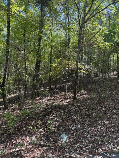 Vacant Land For Sale - LOT 14B Lbk Circle<br/> Lincoln County, Tignall, GA 30668