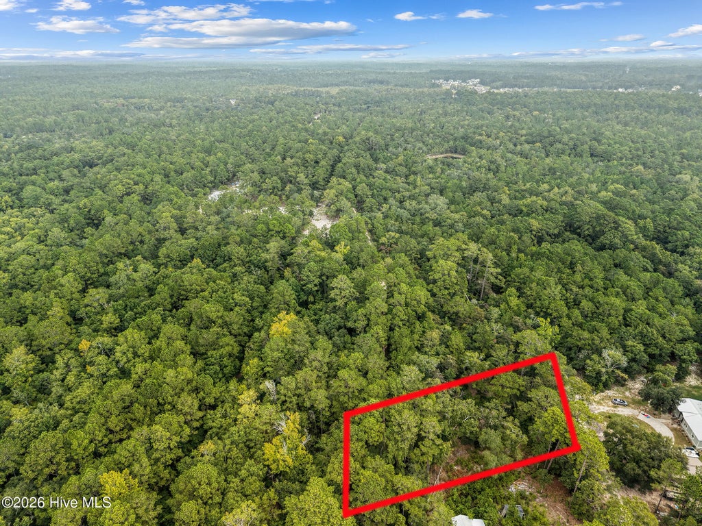 Photo of 175 Boxwood Street SE, Bolivia, NC 28422 (MLS # 100605163)