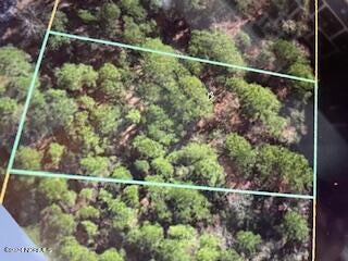 Vacant Land For Sale - 249 S Horsepen Drive<br/> Harrells, NC 28444