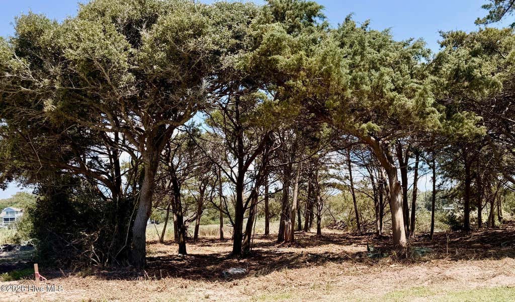 Photo of 911 W Pelican Drive, Oak Island, NC 28465 (MLS # 100589079)