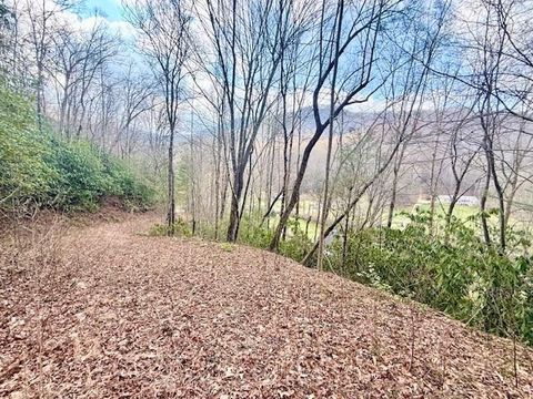 Vacant Land For Sale - 00 Beech Creek/ Little Hardwood<br/> Graham County, Robbinsville, NC 28771