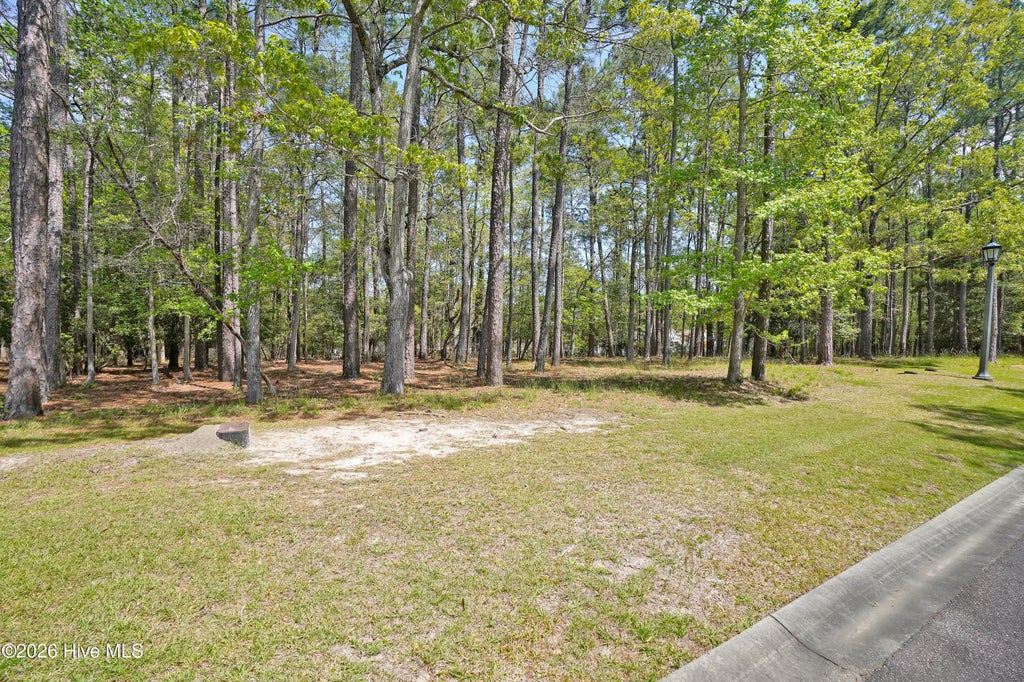 Photo of 3736 Pine Brook Trail, Shallotte, NC 28470 (MLS # 100604568)