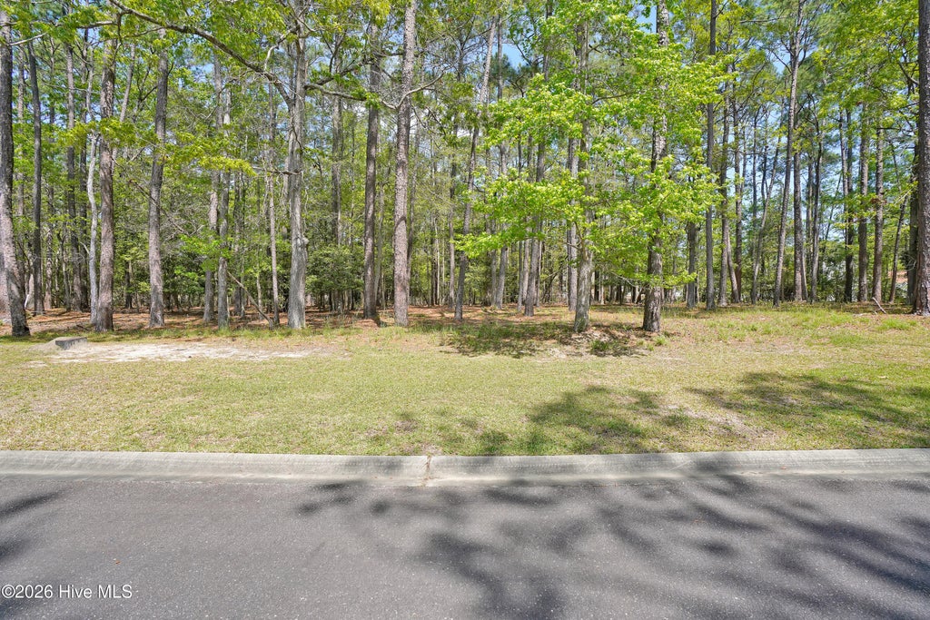 Photo of 3736 Pine Brook Trail, Shallotte, NC 28470 (MLS # 100604568)