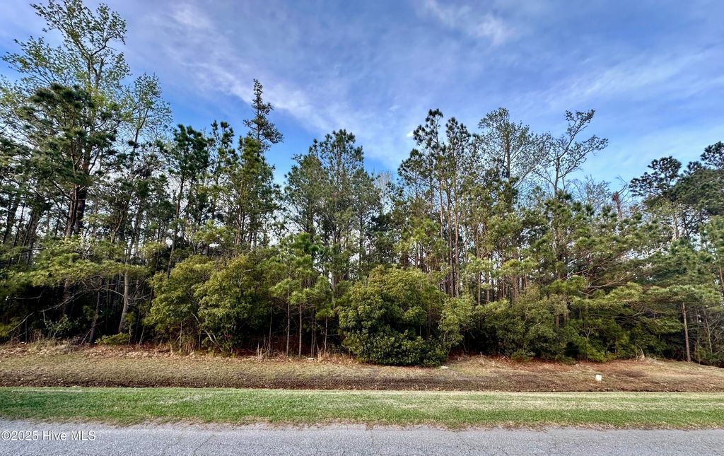Photo of 217 E Dowry Creek, Belhaven, NC 27810 (MLS # 100498049)