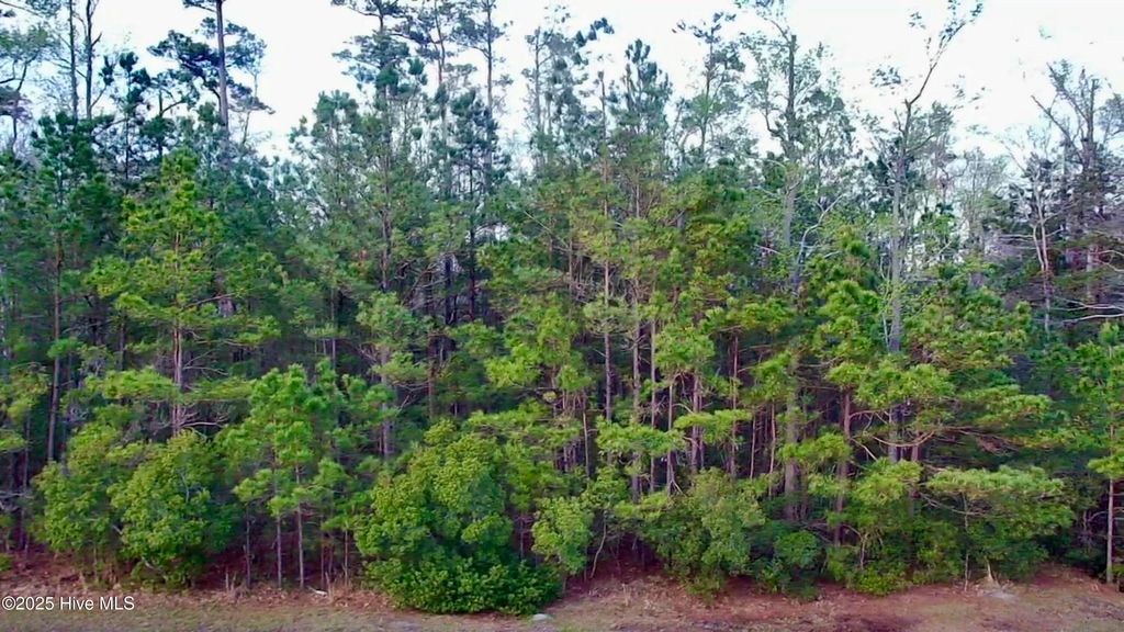 Photo of 217 E Dowry Creek, Belhaven, NC 27810 (MLS # 100498049)