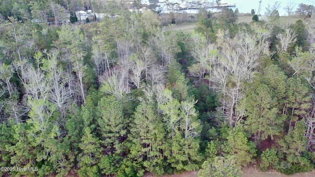 Photo of 217 E Dowry Creek, Belhaven, NC 27810 (MLS # 100498049)