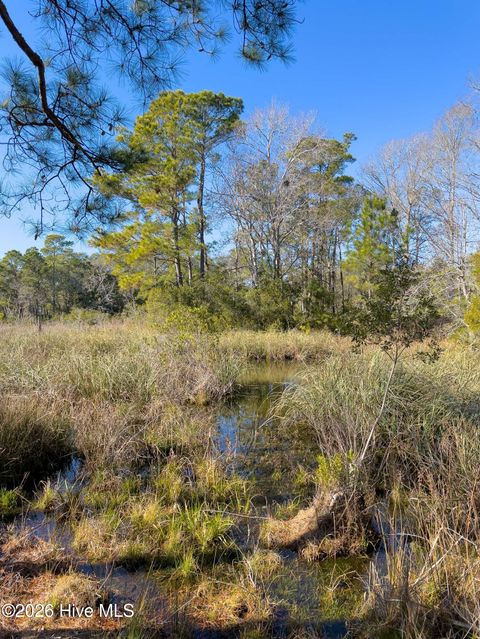 Tiny photo for 1907 Redfish Run SW, Supply, NC 28462 (MLS # 100563119)
