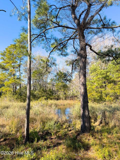 Tiny photo for 1907 Redfish Run SW, Supply, NC 28462 (MLS # 100563119)