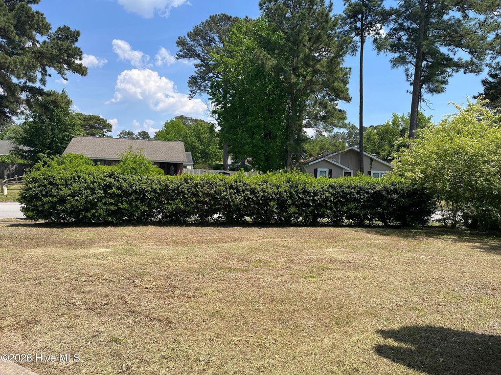 Photo of 502 S Pine Cone Lane, Jacksonville, NC 28546 (MLS # 100569627)