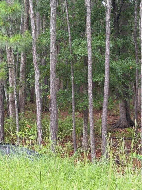 Photo of 157 Wood Haven Lane, Pooler, GA 31322 (MLS # SA358802)
