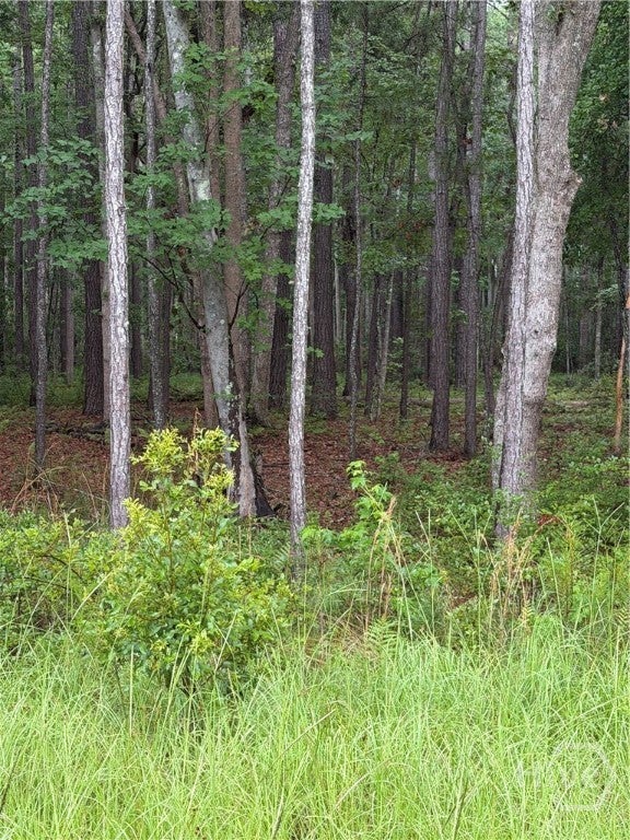 Photo of 157 Wood Haven Lane, Pooler, GA 31322 (MLS # SA358802)