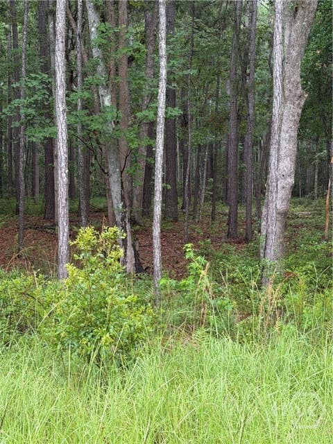Vacant Land For Sale - 157 Wood Haven Lane<br/> Pooler, GA 31322
