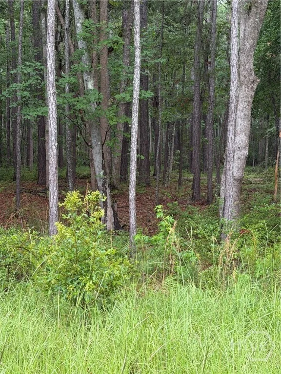 157 Wood Haven Lane