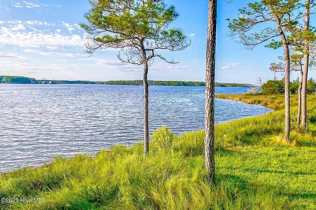 Photo of 469 Ballast Point, Oriental, NC 28571 (MLS # 100437214)