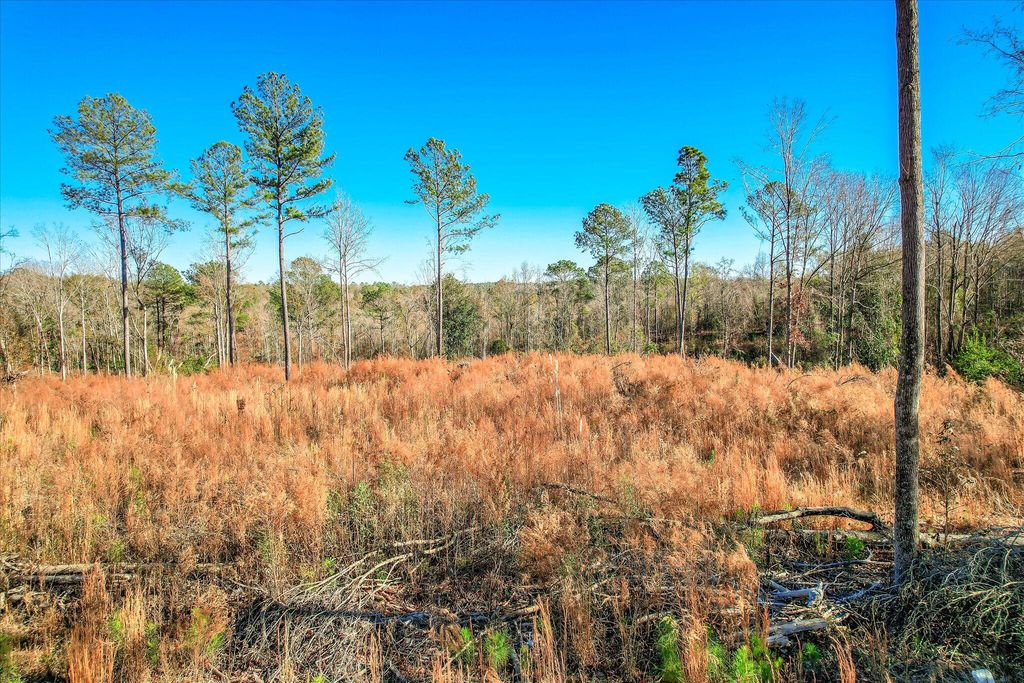 Photo of 4 Blackstone Camp Road, Beech Island, SC 29842 (MLS # 550301)