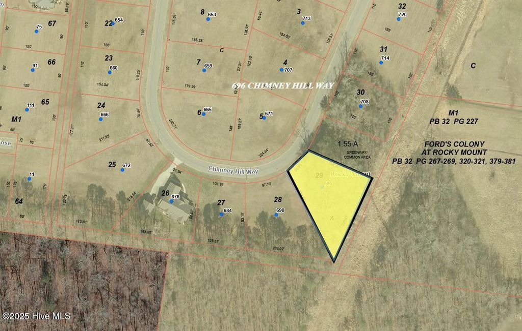 Photo of 696 Chimney Hill Way, Rocky Mount, NC 27804 (MLS # 100490463)