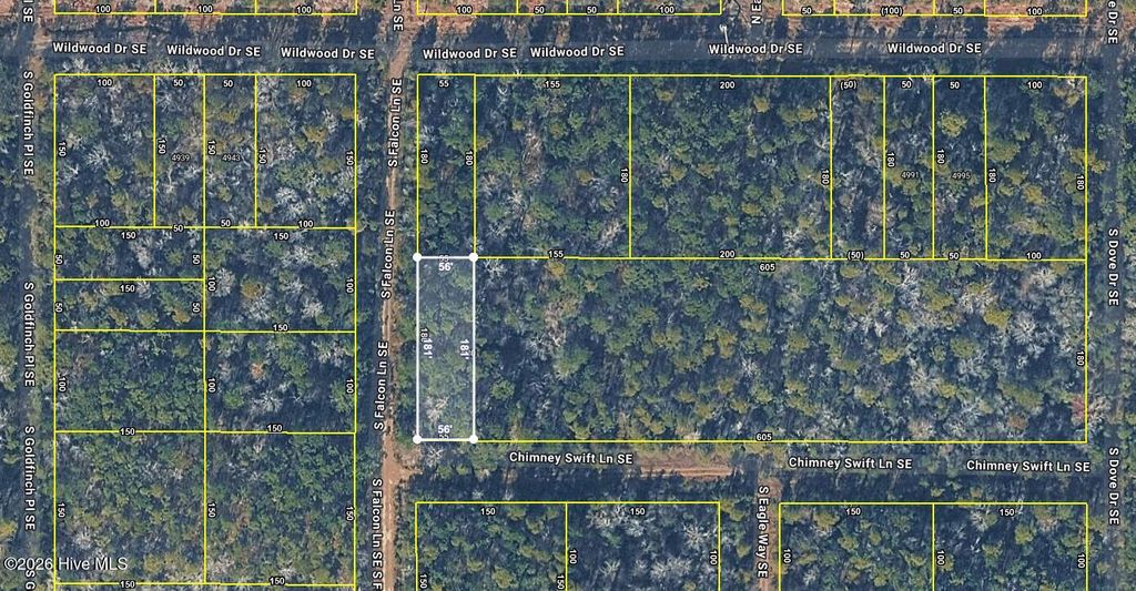 Photo of 113 Chimney Swift Lane SE, Southport, NC 28461 (MLS # 100573402)