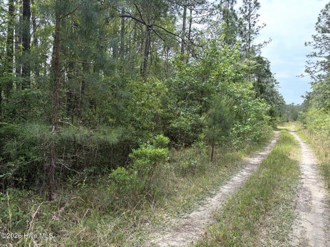Vacant Land For Sale - L 113 Chimney Swift Lane<br/> Southport, NC 28461