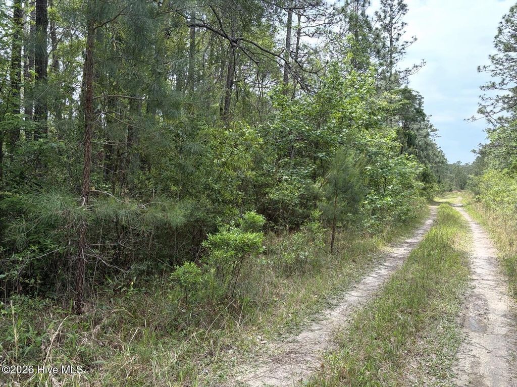 Photo of 113 Chimney Swift Lane SE, Southport, NC 28461 (MLS # 100573402)