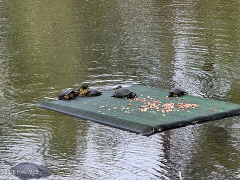 Tiny photo for 194 Hampton Court, Hampstead, NC 28443 (MLS # 100567366)