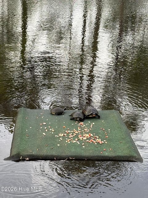 Tiny photo for 194 Hampton Court, Hampstead, NC 28443 (MLS # 100567366)