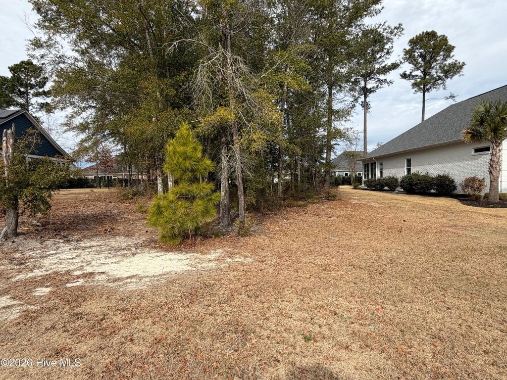 Photo of 2580 E Timber Crest Drive NE, Leland, NC 28451 (MLS # 100549230)