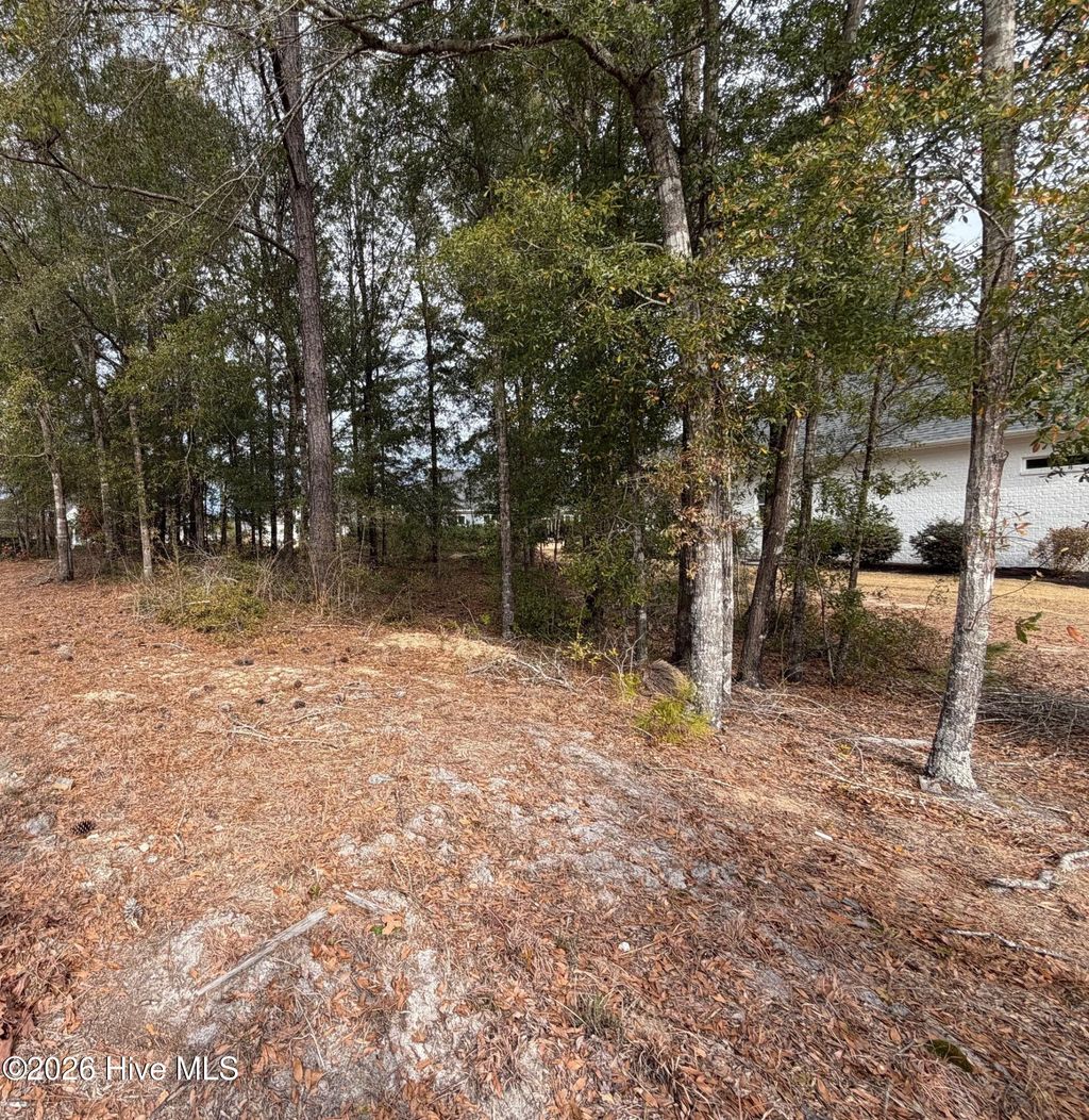 Photo of 2580 E Timber Crest Drive NE, Leland, NC 28451 (MLS # 100549230)