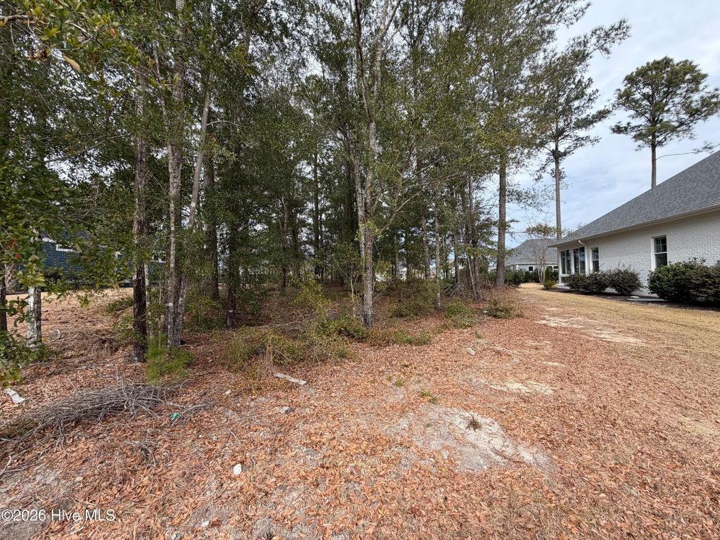 Photo of 2580 E Timber Crest Drive NE, Leland, NC 28451 (MLS # 100549230)